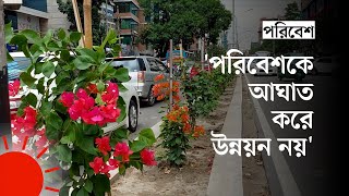 শতাধিক গাছ কাটার পর সড়ক বিভাজকে ফুল গাছ | Trees Cut Down at Dhanmondi