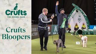 Dogs Doing Funny Things 😂 The ULTIMATE Crufts Dog Bloopers