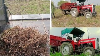 Massey Ferguson 241 Aaj soybean pahle karne ki starting#farming #automobile #drone4kcamera Devon😂😂🌱🤘