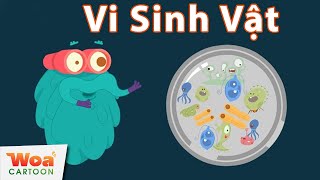 Khám Phá Vi Sinh Vật - Vi Khuẩn Dưới Kính Hiển Vi | Phim Hoạt Hình Mới | Hoạt Hình Khoa Học Hay Nhất