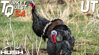 TURKEY QUEST | THE INVISIBLE FORCE FIELD | S4E03