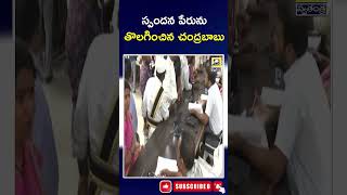 Chandrababu Removed The Spandana Scheme | స్పందన సేవలు పేరును తొలగించిన చంద్రబాబు | Ap Politics |YCP