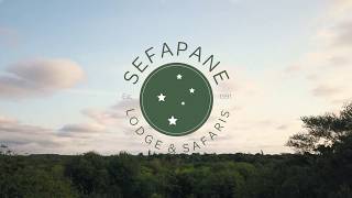 Sefapane Lodge \u0026 Safaris 2018