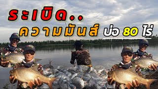 ระเบิดความมันส์ บ่อ80ไร่EP126#fishing #ตกปลา #carpfishing