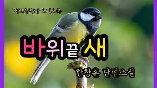 눈물 따위는 아무것도 아니었어요. 무섭고 치욕스러워 내 영혼에서 피가 흘러내렸어요. #한창훈