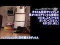 西遊記 竜王級 【ドラポ】