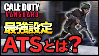 【これ使えばOK】プロが最強設定『ATS』を解説!!実際に使ったら強すぎた!!【CoD:V Beta】