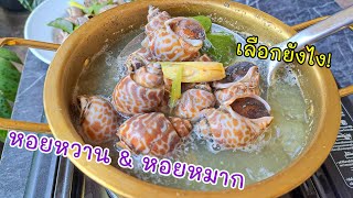 หอยหมากลวก วิธีเลือกหอยหวาน หอยหมาก |แค่เลchannel