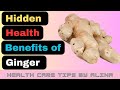 The Hidden Health Benefits of Ginger | A Natural Wellness Wonder