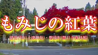 2021.会津のもみじ名所紹介 『土津神社』・『慧日寺資料館庭園』の紅葉です‼