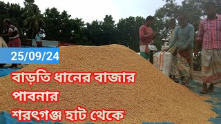 25 September 2024 আজকের ধানের বাজার দর বেড়েছে paddy rice market price rates in pabna Bangladesh