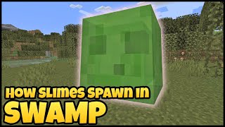 How SLIMES SPAWN In SWAMP Biomes In Minecraft