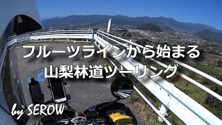 フルーツラインから始まる山梨林道ツーリング（ダイジェスト動画）