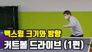 [원포인트레슨]커트볼 포핸드 드라이브 / 백 스윙의 중요한 팁과 요령!!