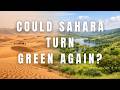 How The Sahara Desert was Once Green, And Could It Happen Again?