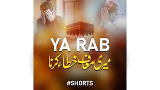 Ya Rab Hay Dua Tujh Say - Hafiz Junaid Ur Rehman - Peace Studio Shorts #shorts