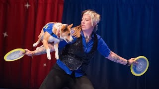 Why is Discdog good? ⑬Abby Cline from USA