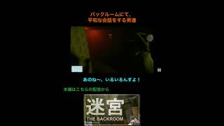 ホラーゲームで平和なやり取りをする者たち【Inside the backroom】