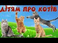 Коти та їх звуки для дітей. Навчальне відео про котів