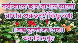 বর্ষাকালে ছাদ বাগান ভালো রাখার গুরুত্বপূর্ণ কিছু টিপস।