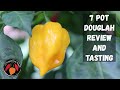 7 Pot Douglah yellow pepper Tasting and Review.