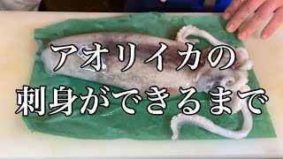 【築地】の魚屋が【アオリイカ】を刺身にするだけの動画Video of Tsukiji fishmonger sashimi of bigfin reef squid