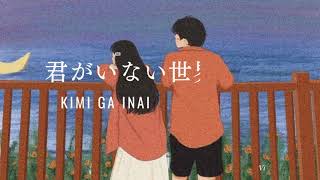 Kimi ga inai sekai- Toshiki || 君がいない世界-都識 [Vietsub/Lyrics/Romaji]