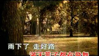 【陪我看日出_蔡淳佳】淚光閃閃 - 中文歌.flv