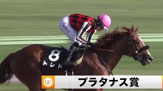 【2022】プラタナス賞 東京競馬場9R ｜ウイニング競馬 2022年10月15日（土）