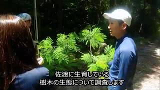 佐渡樹木学研修①植物採取　新潟農業・バイオ専門学校