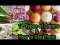 Types of Onions & How to Use Them/Onion Varieties/AgroStar