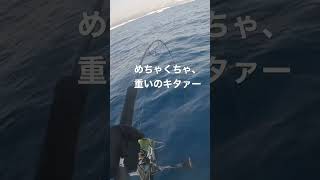 #北海道釣り#釣り#船釣り