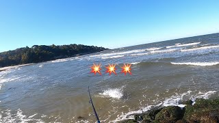 STRIPED BASS JUMPS LIKE A TARPON (Cape Cod Fall Run Fishing)