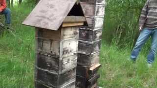 ŠPV Vilémov 2014 člověk plný včel - japonský úl - japanese beehive # 3