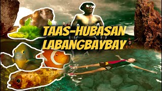 Taas-Hubasan Labangbaybay | Tagapul-an Samar