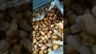 zahidi dates wholsales