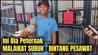 INI DIA !! PETERNAK MERPATI SI MALAIKAT SUBUH, BINTANG PESAWAT TEAM BJG GARUT