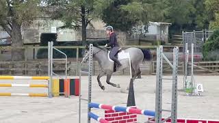 Tiny Tim and Frisbee at Abderry