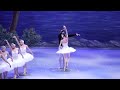 world ballet magic unleashed exploring 48 swans in swan lake with international festival ballet