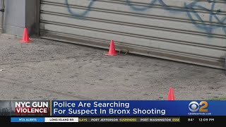 Bronx Man Shot In The Back