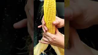 CORN PEELING HACKS