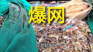 480包大型渔船出海捕捞，收网后螃蟹满船跑，现场太刺激了【豪哥深海捕捞】