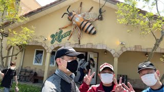 玖珠町 嵐山瀧神社の花手水と青の洞門ネモフィラ、はちみつ工房芳苑、マチュピチュ展望台県内グルグル