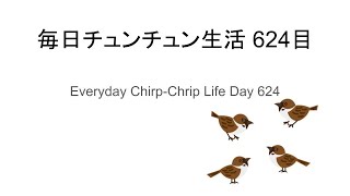 毎日チュンチュン生活624日目 / Everyday Chirp-Chrip Life Day 624