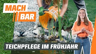 Teichpflege im Frühjahr | OBI