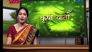 Krishivarta Bajarbhav 02 January 2018 - कृषीवार्ता बाजारभाव