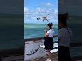 seagull did this to this woman 😂 unbelievablemomentscaughtoncamera