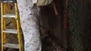 Feral bees wild aggressive relentless