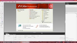 animation using Macromedia flash professional