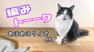 【編みトーーク】あほあほクイズ他